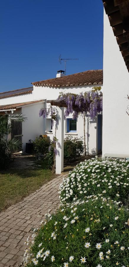 Le Mas Des Sagnes Saintes-Maries-de-la-Mer Exterior photo