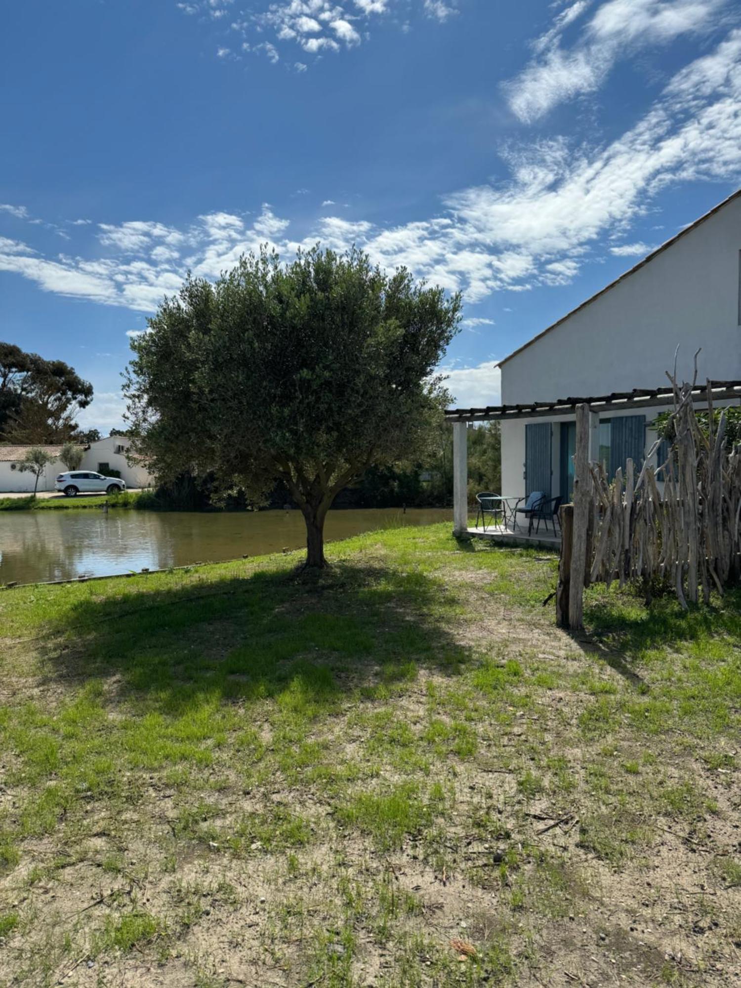 Le Mas Des Sagnes Saintes-Maries-de-la-Mer Exterior photo